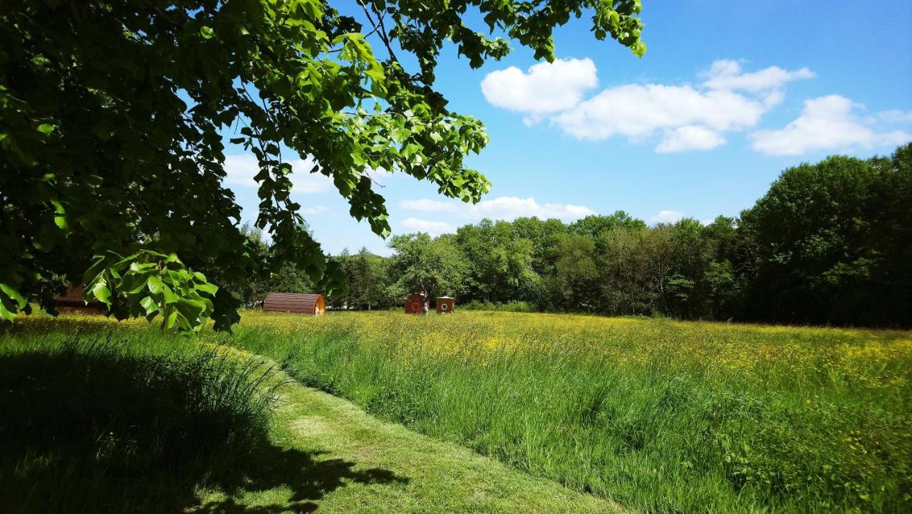 فيلا Domaine De La Grangee La Chapelle-Blanche-Saint-Martin المظهر الخارجي الصورة