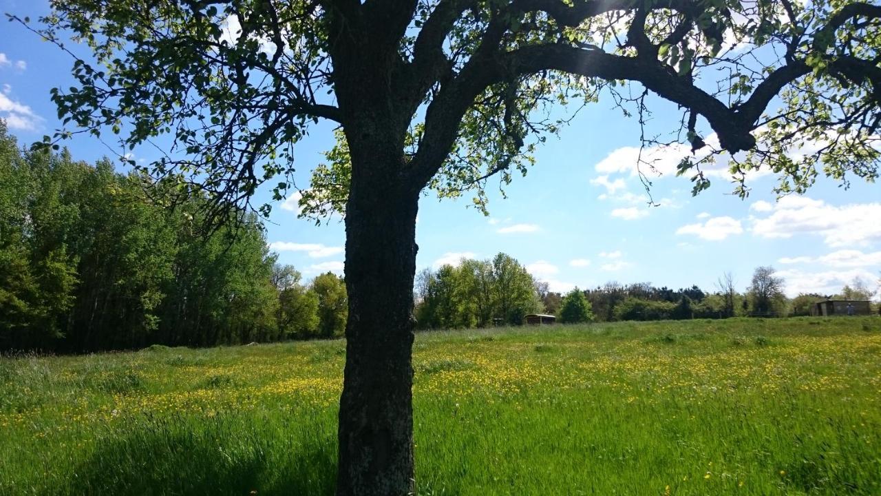 فيلا Domaine De La Grangee La Chapelle-Blanche-Saint-Martin المظهر الخارجي الصورة