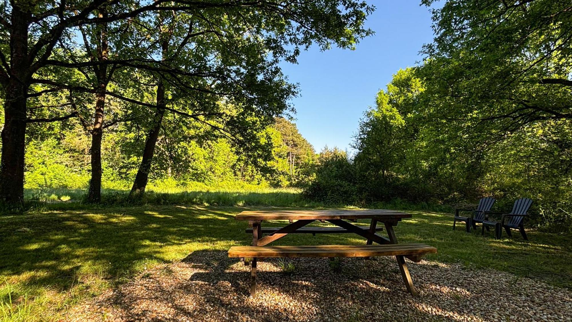 فيلا Domaine De La Grangee La Chapelle-Blanche-Saint-Martin المظهر الخارجي الصورة